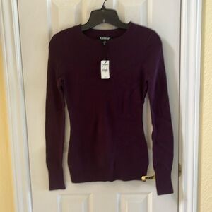NWT Express Sweater